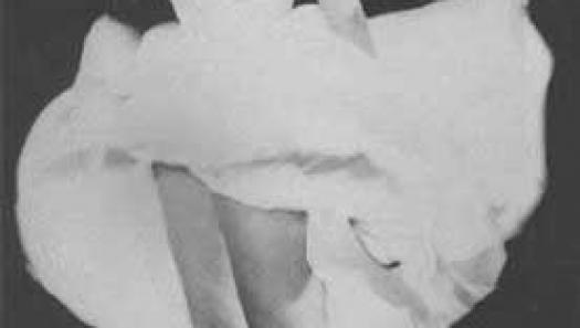 Marilyn Monroe Blowing Skirt