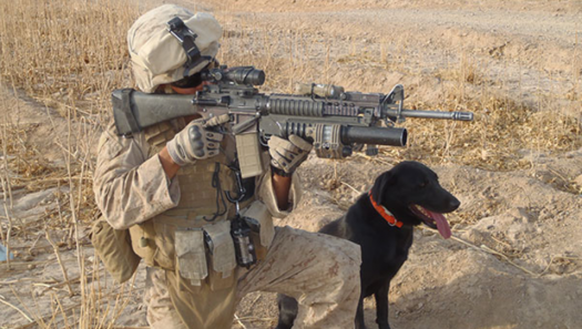 Marine Captain Jason Haag and his service dog