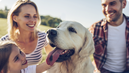 5 Ways Dogs Can Improve Lives